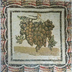 Traubenbündel, römisches Mosaik (Mosaik)